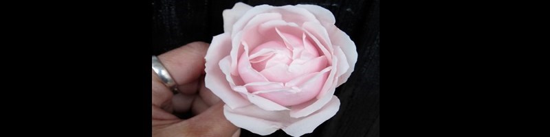 Ummelamusik innehåller bla. musik för barn, barnrytmik, förskola, skola, kör och instrumentalmusik